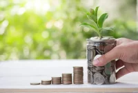 Building Wealth Through Long-Term Investments